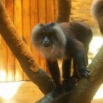 zoo3