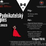 ples-foto-s-logama-600×581-1