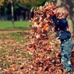 boy-1209964_1280