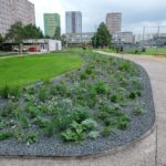 Nova-parkova-plocha_1_foto-Adolf-Horsinka