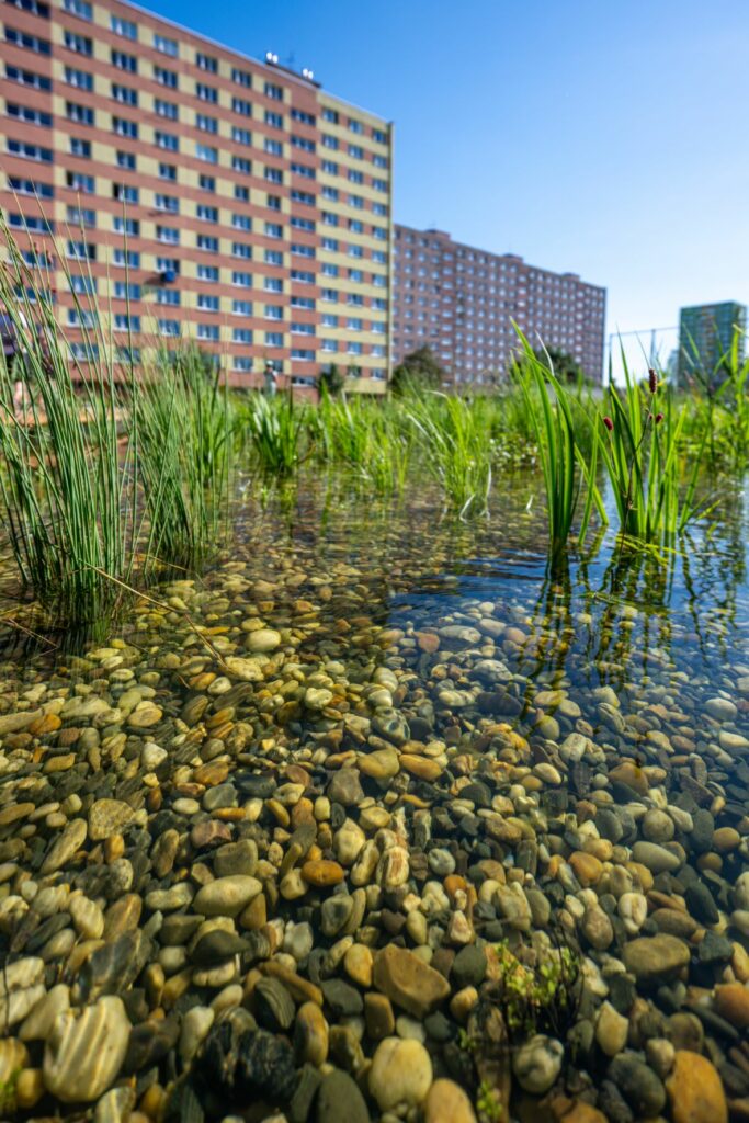 Biotop_Ostrava_Jih_2_Lukáš Kaboň