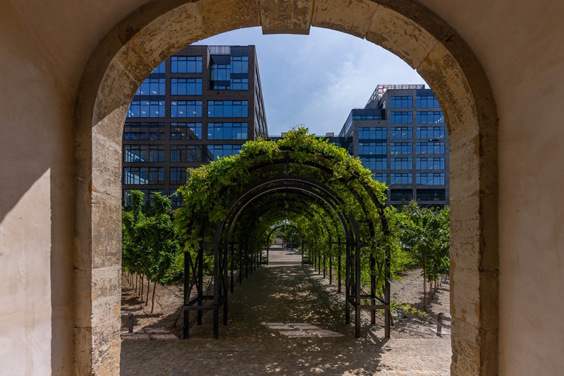 Bochnerův palác v Brně