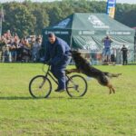 Dny Nato2023_3