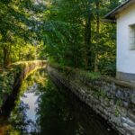 Weisshuhnuv_kanal_0L8A1735