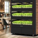 restaurace2_2