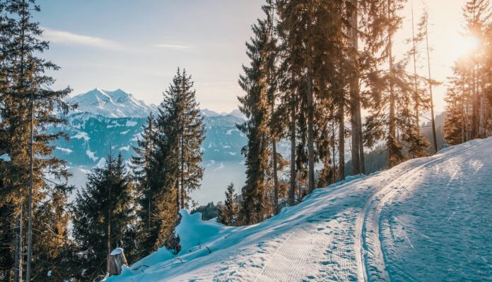 zasněžená krajina, tipy na lyžování a wellness