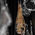 LASVIT Herbarium Mockup – detail