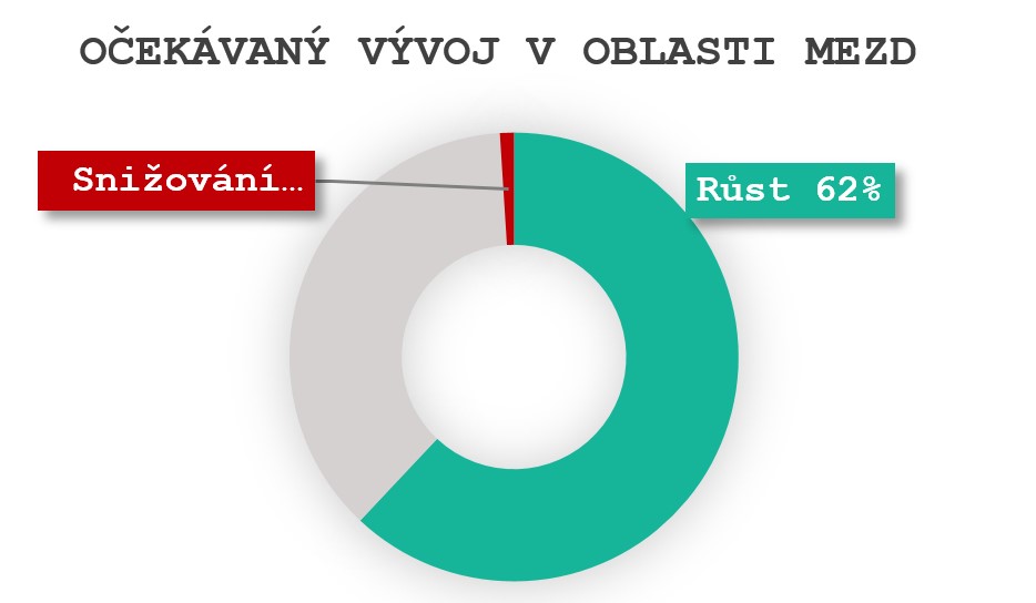 Mzdy v roce 2025 porostou