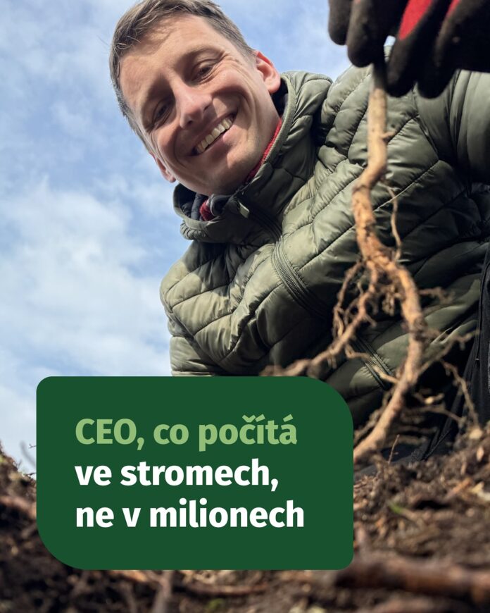 Sázení stromů jako součást firemních teambuildingů a ESG aktivit díky projektu Sázíme Česko