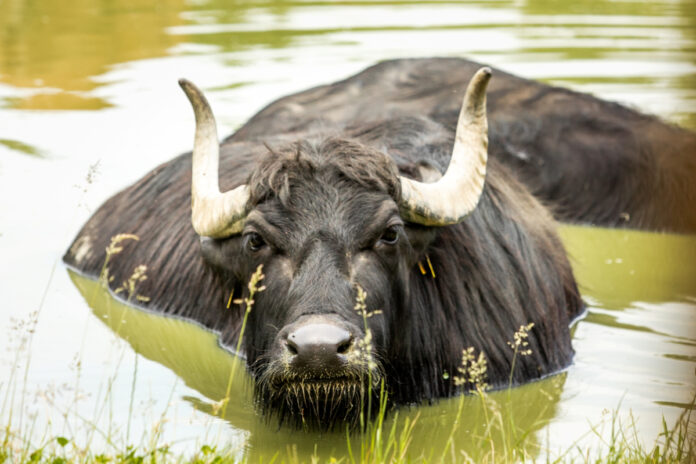 Zoo Ostrava